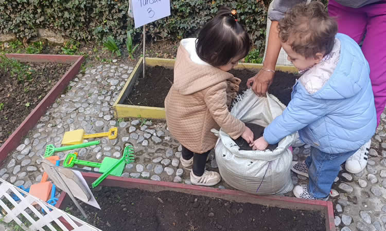 La huerta como experiencia viva de aprendizaje en Colegio Meraki