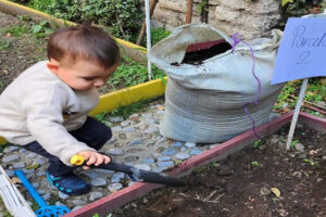 El Sistema Inmune en la Guardería 1