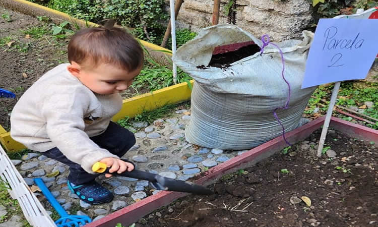 El Sistema Inmune en la Guardería: Guía eficaz de supervivencia para papás