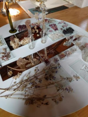 La evolución de la Filosofía Reggio Emilia